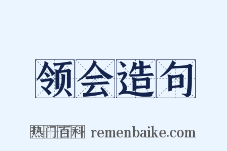 领会造句是什么意思的图片